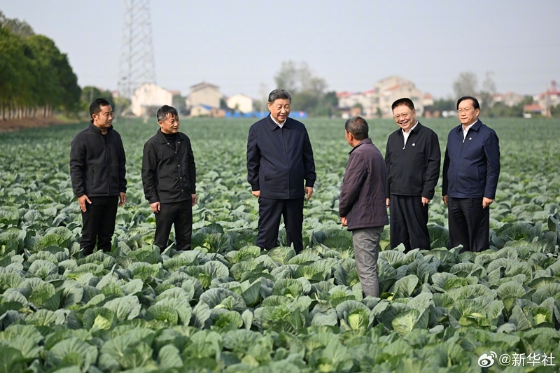 习近平在湖北考察调研